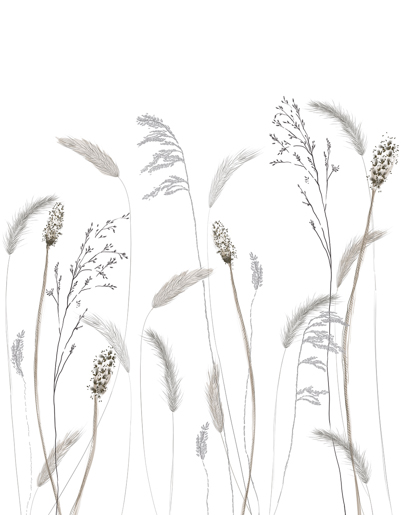 Marburger Tapete 63459 2,70 x 2,10 m Crush Motion DD 2025 verläng.2026